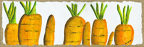 carrots